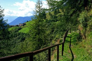 Corso di Formazione 2026 per le Guardie Ecologiche Volontarie (GEV) della Città Metropolitana di Torino