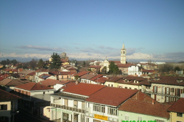 Sfoglia la galleria